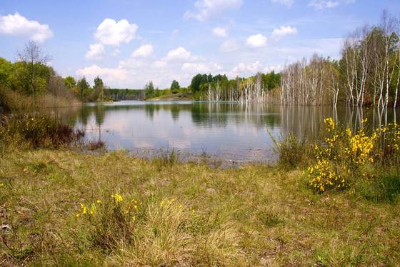 Goitzsche, Foto: Falco Heidecke